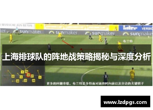 上海排球队的阵地战策略揭秘与深度分析