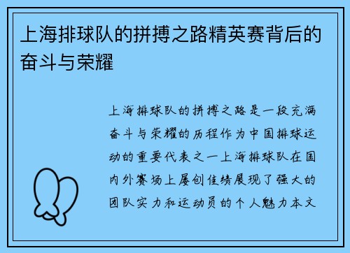 上海排球队的拼搏之路精英赛背后的奋斗与荣耀